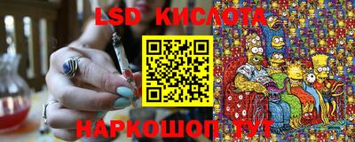 apvp Можга