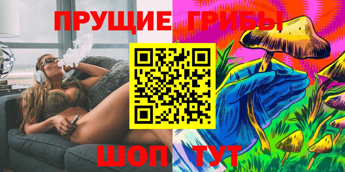 Галлюциногенные грибы Psilocybe Геленджик